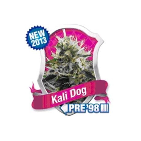 KALI DOG * ROYAL QUEEN SEEDS 5 SEMI FEM 