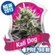 KALI DOG * ROYAL QUEEN SEEDS 10 SEMI FEM 