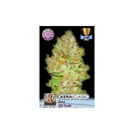 KERA OG KUSH * KERA SEEDS CLASSIC 5 SEMI FEM