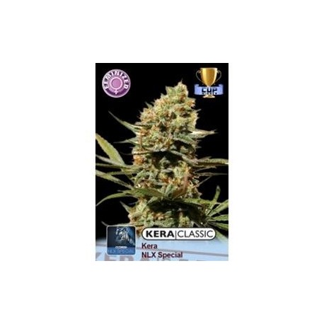 KERA NLX SPECIAL * KERA SEEDS CLASSIC 3 SEMI FEM