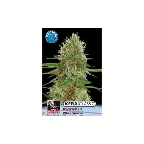 KERA MEDICAL WHITE WIDOW * KERA SEEDS CLASSIC 3 SEMI FEM