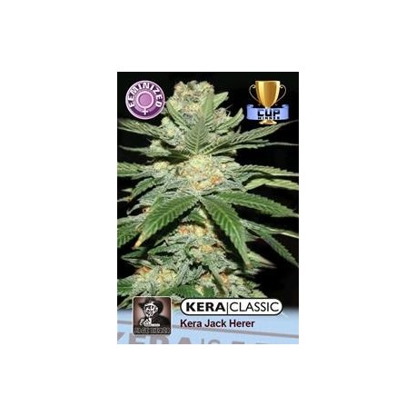 KERA JACK HERER * KERA SEEDS CLASSIC 10 SEMI FEM