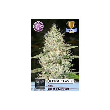 KERA SUPER SILVER HAZE * KERA SEEDS CLASSIC 1 SEME FEM