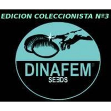 EDICION COLECCIONISTA #3 * DINAFEM SEEDS 6 SEMI FEM