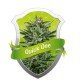 QUICK ONE * ROYAL QUEEN SEEDS 1 SEME FEM 