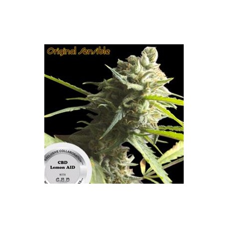 CBD LEMON AID * ORIGINAL SENSIBLE SEED 10 SEMI FEM