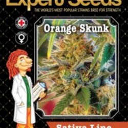 ORANGE SKUNK * EXPERT SEEDS 3 SEMI FEM 